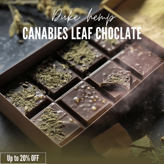 Premium bhang chocolate made from legally sourced cannabis leaves for relaxation and traditional Vijaya wellness